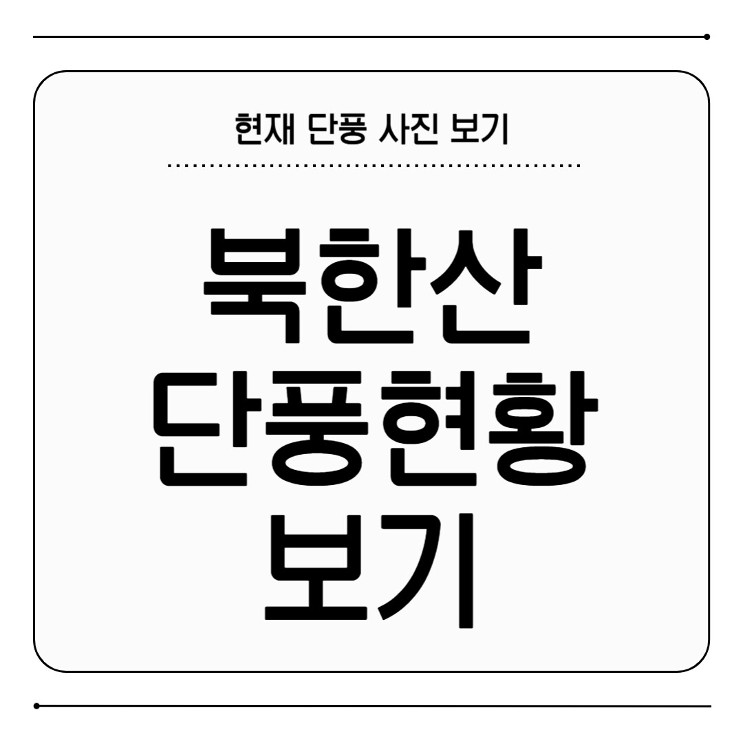 북한산 단풍 현황