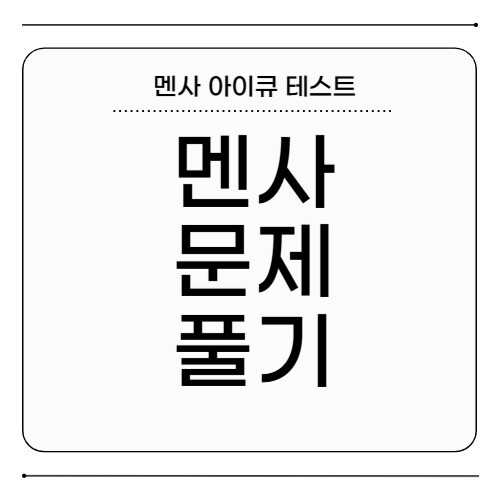 멘사 문제 풀기